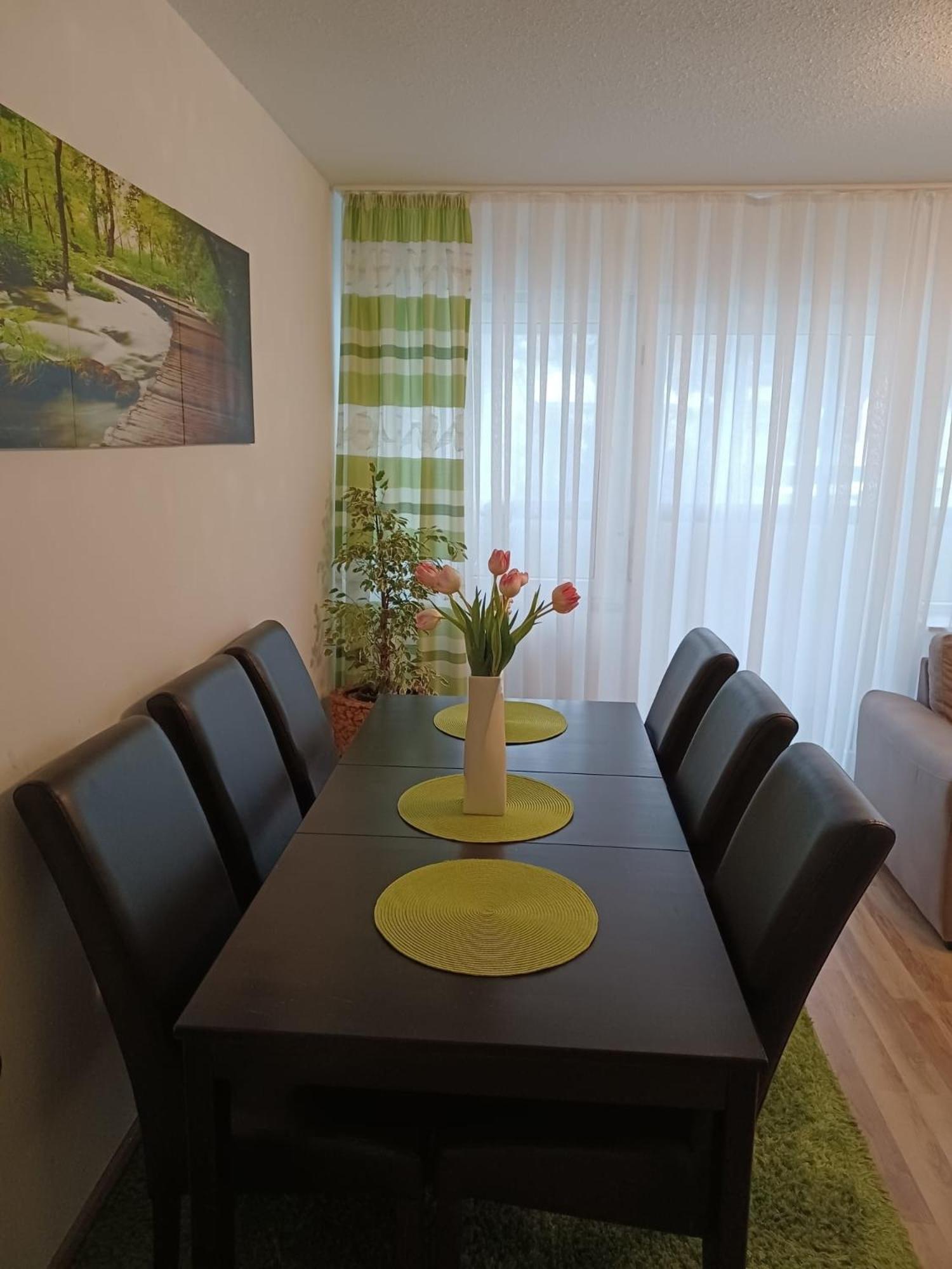 H&A Apartment Baden Baden Ngoại thất bức ảnh